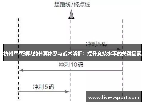 杭州乒乓球队的节奏体系与战术解析：提升竞技水平的关键因素