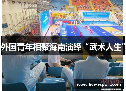 外国青年相聚海南演绎“武术人生”